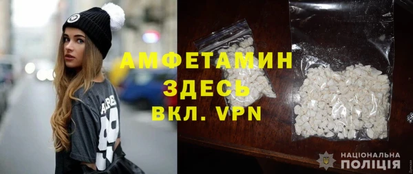 ПСИЛОЦИБИНОВЫЕ ГРИБЫ Новозыбков