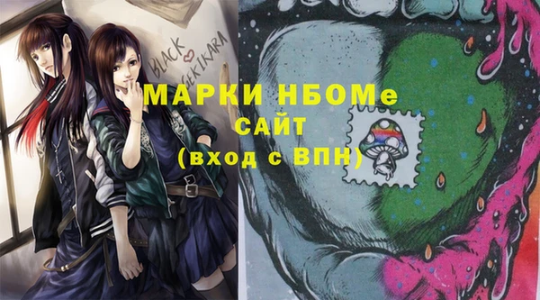 ПСИЛОЦИБИНОВЫЕ ГРИБЫ Новозыбков