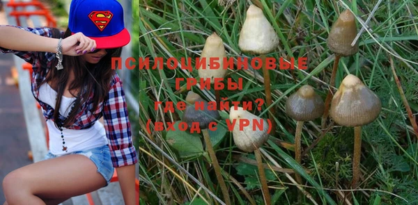 меф Няндома