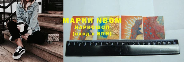 ПСИЛОЦИБИНОВЫЕ ГРИБЫ Новозыбков