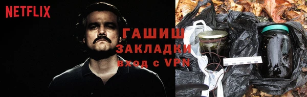 шишки Нягань