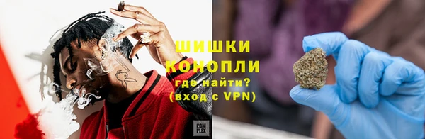 ПСИЛОЦИБИНОВЫЕ ГРИБЫ Новозыбков