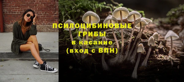 спайс Новодвинск